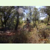 Luberon075