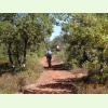 Luberon076