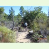 Luberon081