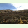 IMG 0029