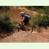 DSCN0202