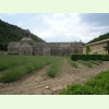 DSCN0232