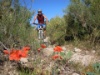 DSCN0312 DSCN0312