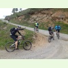 IMG 0515