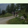 IMG 0518