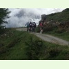 IMG 0522