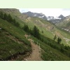 IMG 0531