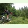 IMG 0548