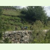 IMG 0553
