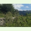 IMG 0554