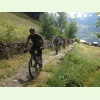 IMG 0556