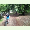 IMG 0559
