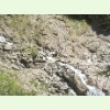 IMG 0918