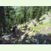 IMG 0925