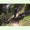 IMG 0932