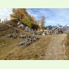 IMG 0055