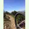 IMG 0851