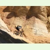 IMG 2858