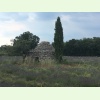 IMG 4507