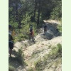 IMG 4533