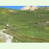 IMG 4753