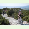 Luberon016