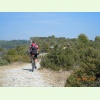 Luberon018