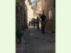 0040 IMG 6341