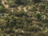 0053 IMG 6358