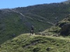 0083 IMG 6201