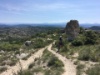 IMG 7269