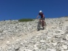 IMG 7185