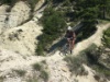 IMG 7280