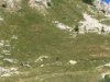 0028 IMG 7380