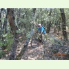 Luberon031
