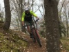0034 IMG 7969