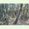 Luberon034