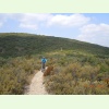 Luberon036