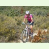 Luberon038
