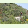 Luberon042